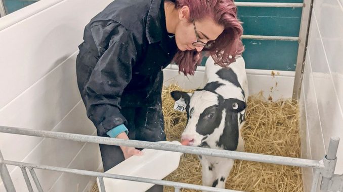 DM_probiotics-in-calves