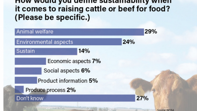Defining Sustainability