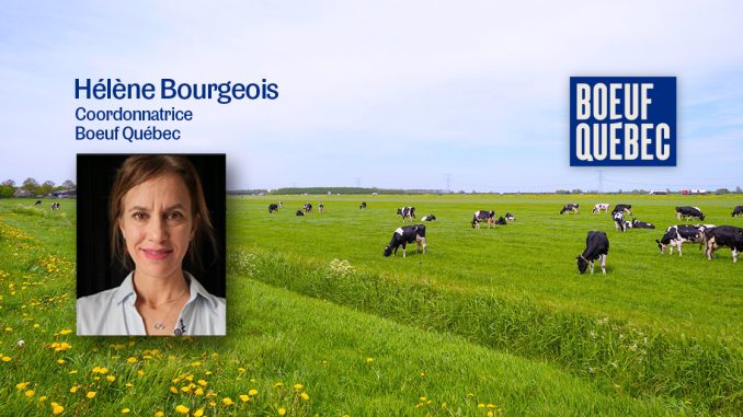 Nouvelle Coordonnatrice Boeuf Québec Hélène Bourgeois