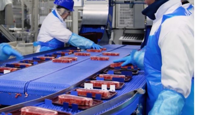 walmart transformateur