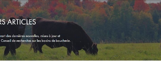 texte-Merck-1